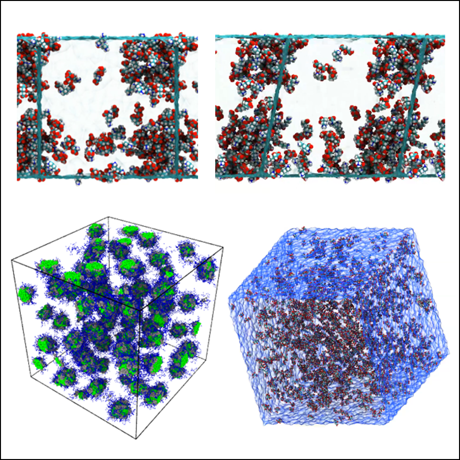 Solution properties/transport